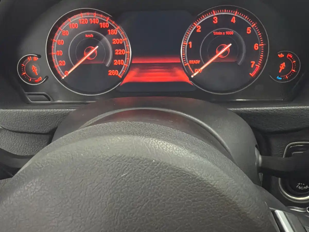 BMW 3 Series 2018 320Li Leading M Sport Package фото 8