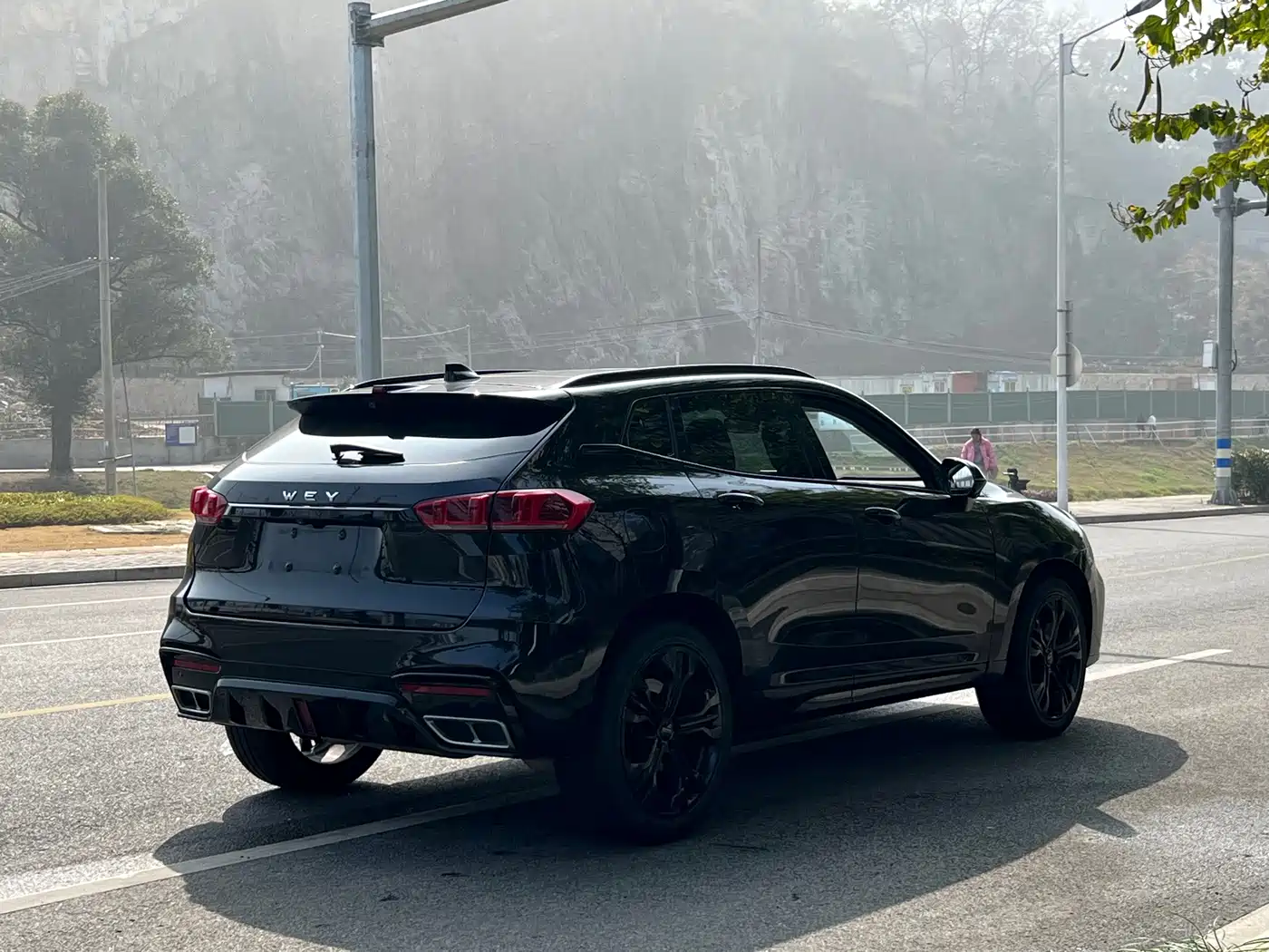 WEY VV7 2020 2020 Model 2.0T Flagship