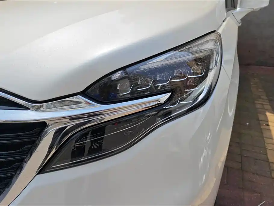 Buick GL8 2021 ES Landlord 653T Flagship фото 5