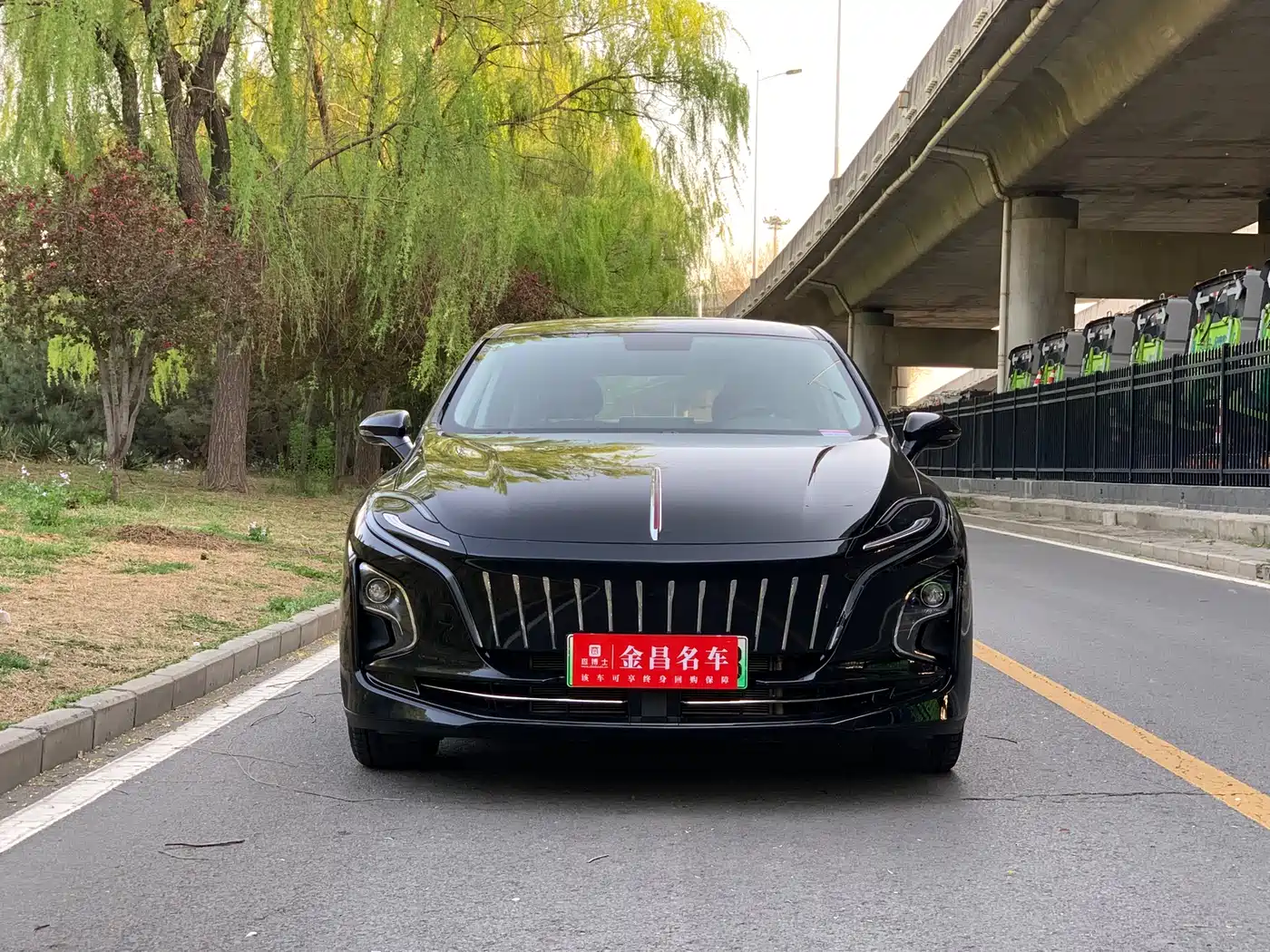 Hongqi E-QM5 2022 431km Charging Enjoyment Edition фото 2