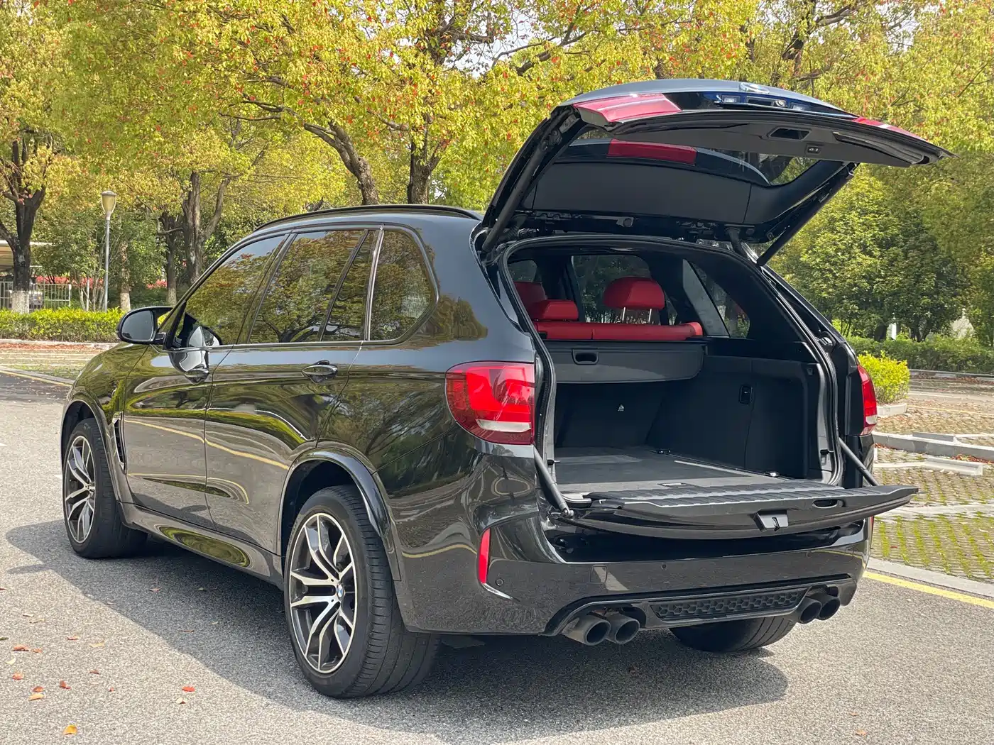 BMW X5 M 2013 X5 M фото 12