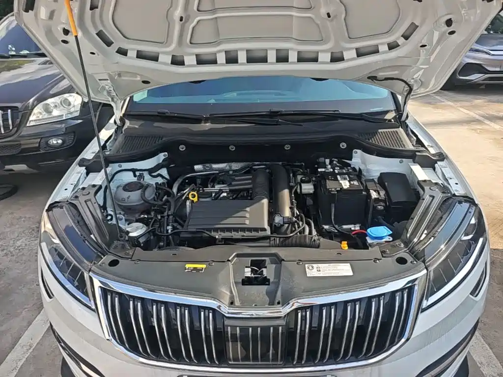 Фото 20 - Škoda Karoq