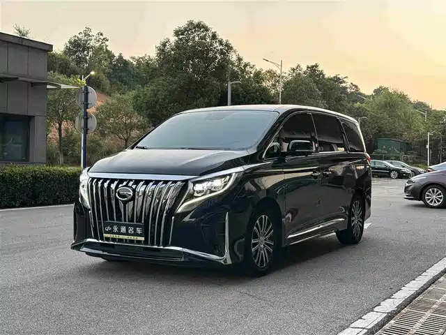 Trumpchi M8 Elegance Series, 390T, Максимум
