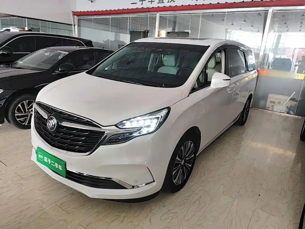 Фото 1 - Buick GL8