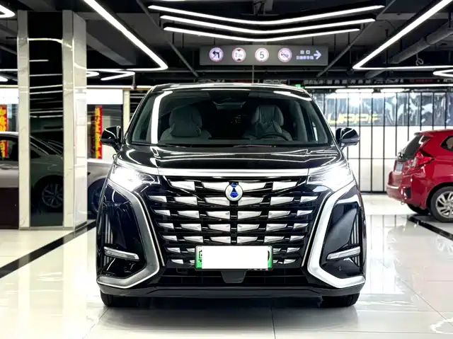 Denza D9 DM-i 1040, Премиум