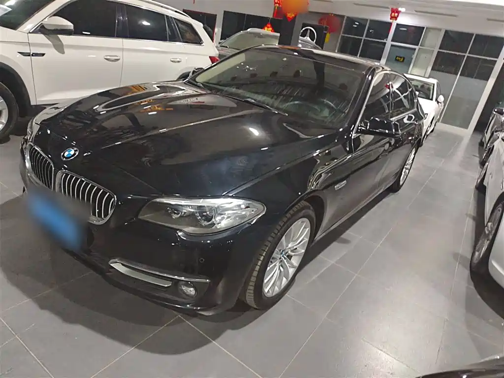 BMW 5 Series 2014 525Li Luxury Design Package фото 2