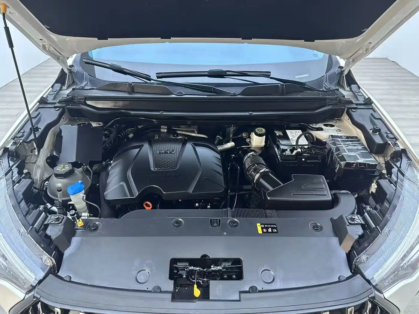 Haval Chitu 2022 2022 Power Edition 1.5T Purple Copper Rabbit