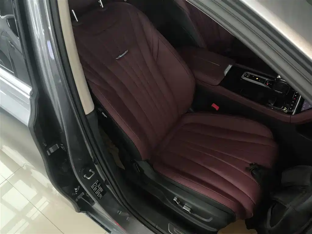 Hongqi H5 2023 2.0T Auto Smart Connect Flag Comfort фото 25