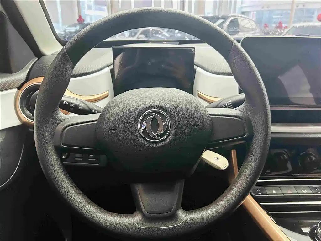Dongfeng Yipai Nano BOX 2023 2022 Wind Chaser Edition 351KM Standard