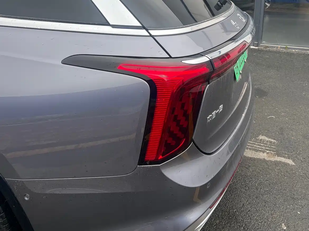 Hongqi E-HS9 2022 690km Qi Xiang Edition (6-seater) фото 6