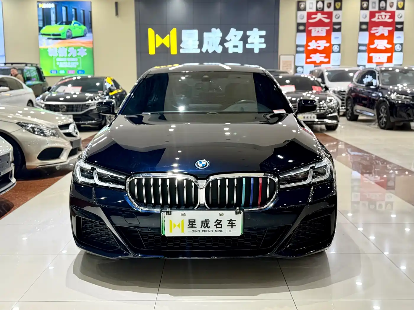 BMW 5 SERIES NEW ENERGY