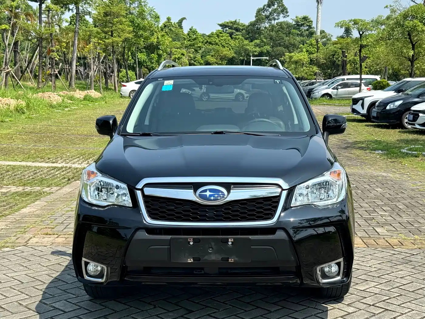 Subaru Forester 2015 2.0i Special Commemorative Edition фото 2