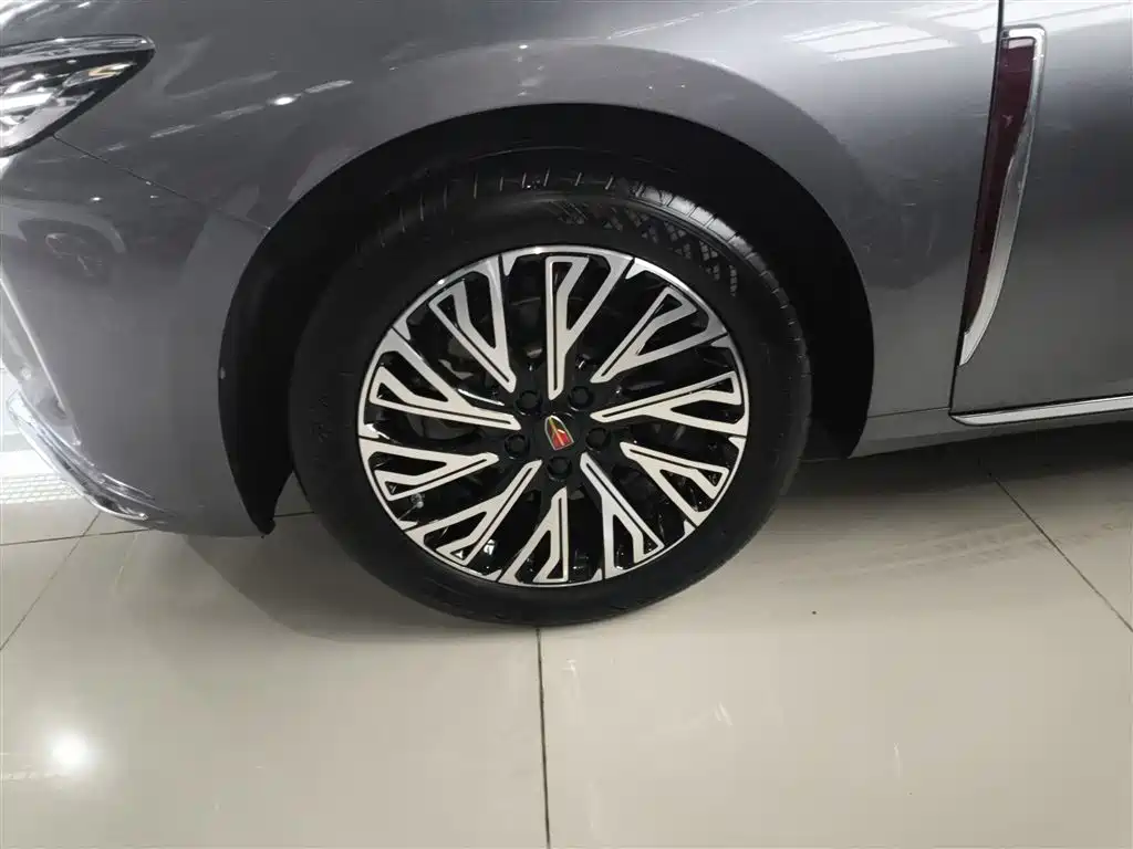 Hongqi H5 2023 2.0T Auto Smart Connect Flag Comfort фото 23