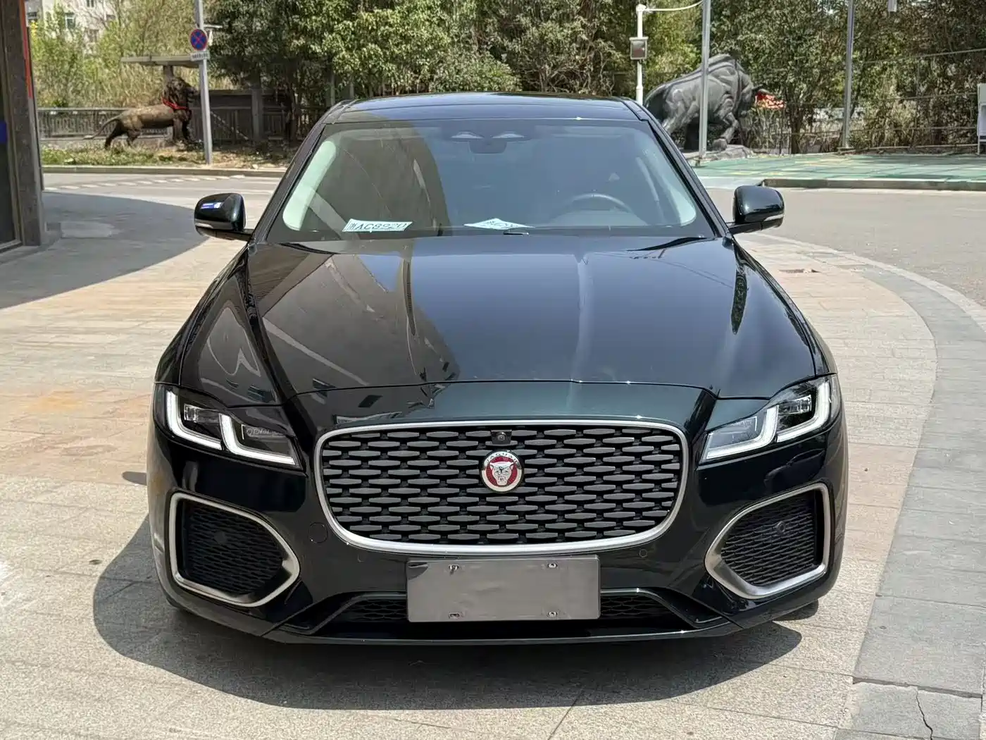 Jaguar XFL 2024 2024 2.0T P250 2WD Premium Luxury