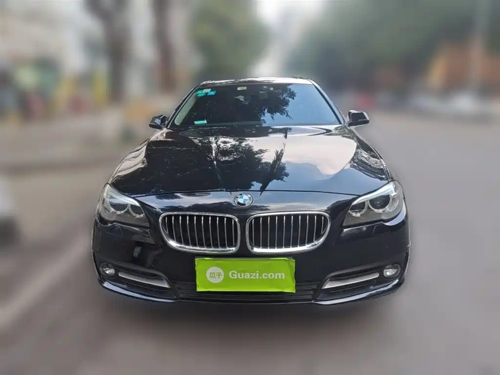 BMW 5 Series (Import) 2014 520i Classic фото 24