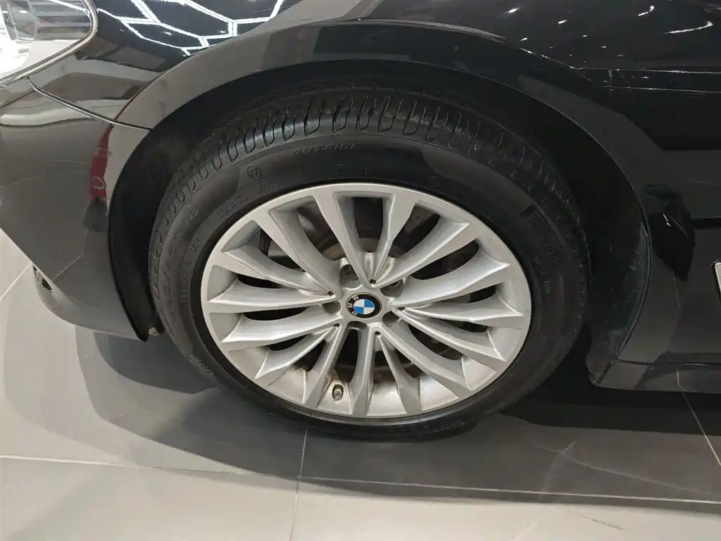 BMW 5 Series 2020 530Li Premium Luxury Package фото 23