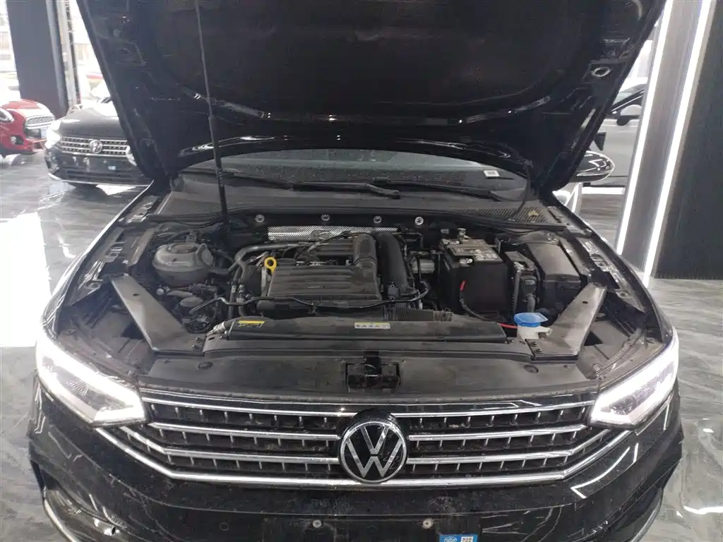 Volkswagen Magotan 2025 Popular Edition 280TSI DSG Comfort фото 16