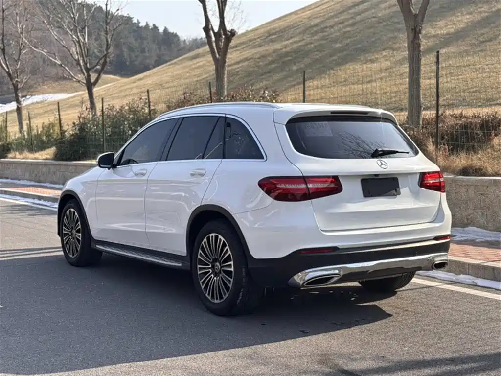 Mercedes-Benz GLC 2018 GLC 200 4MATIC фото 16