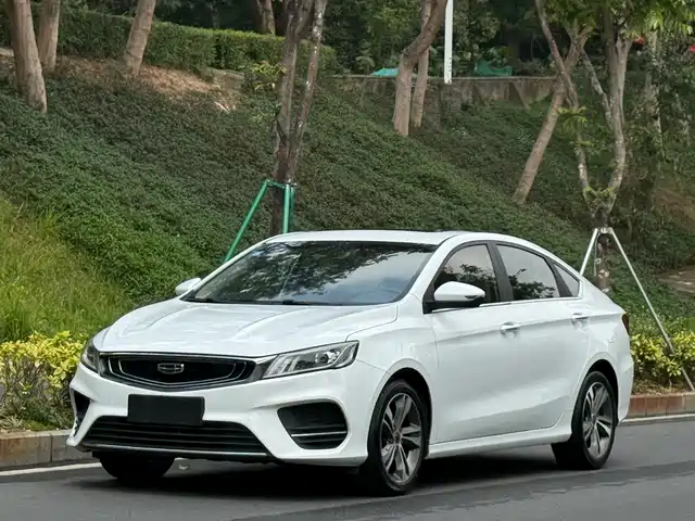 GEELY AUTOMOBILE BINRUI