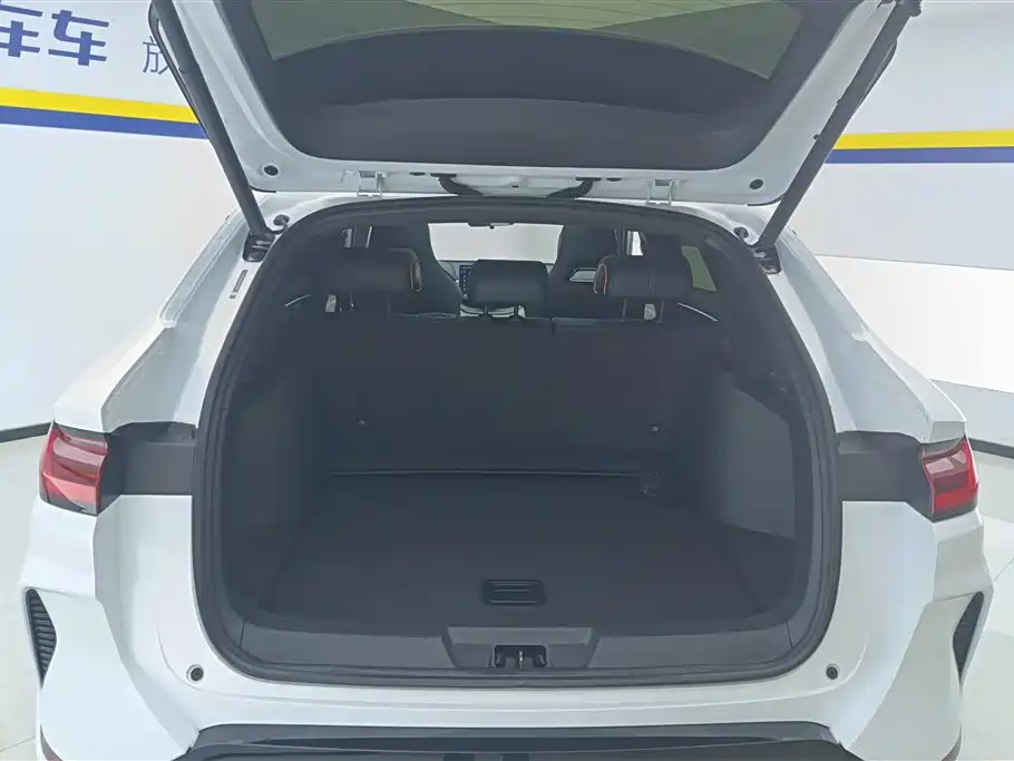 BYD SONGJIANG NEW ENERGY