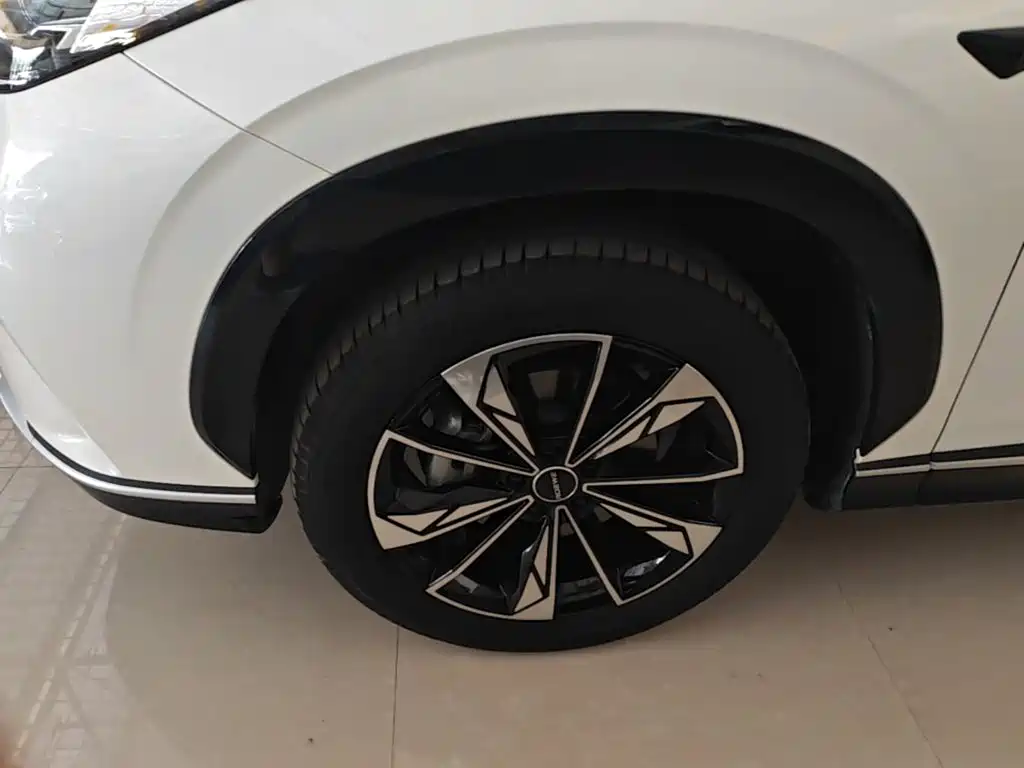 Roewe RX5 New Energy 2025 2023 eRX5 Super Hybrid Comfort Edition