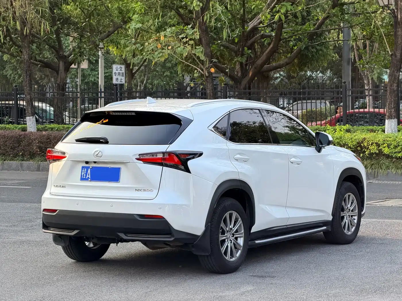 LEXUS NX