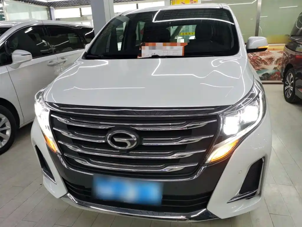 GAC Trumpchi Trumpchi M8 2020 Pilot 390T Prestige Edition фото 19
