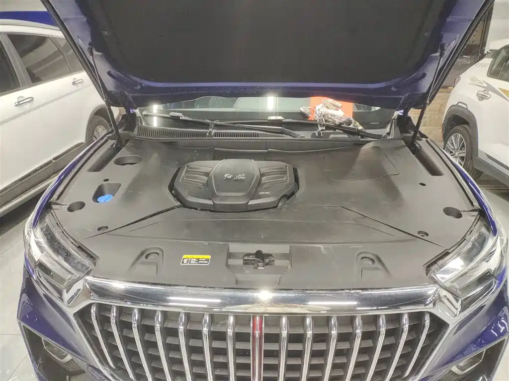 Hongqi HS5 2019 2.0T Smart Connect Enjoy 4WD Edition фото 16