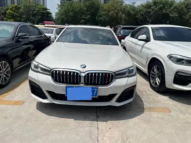 BMW 5 Series 2020