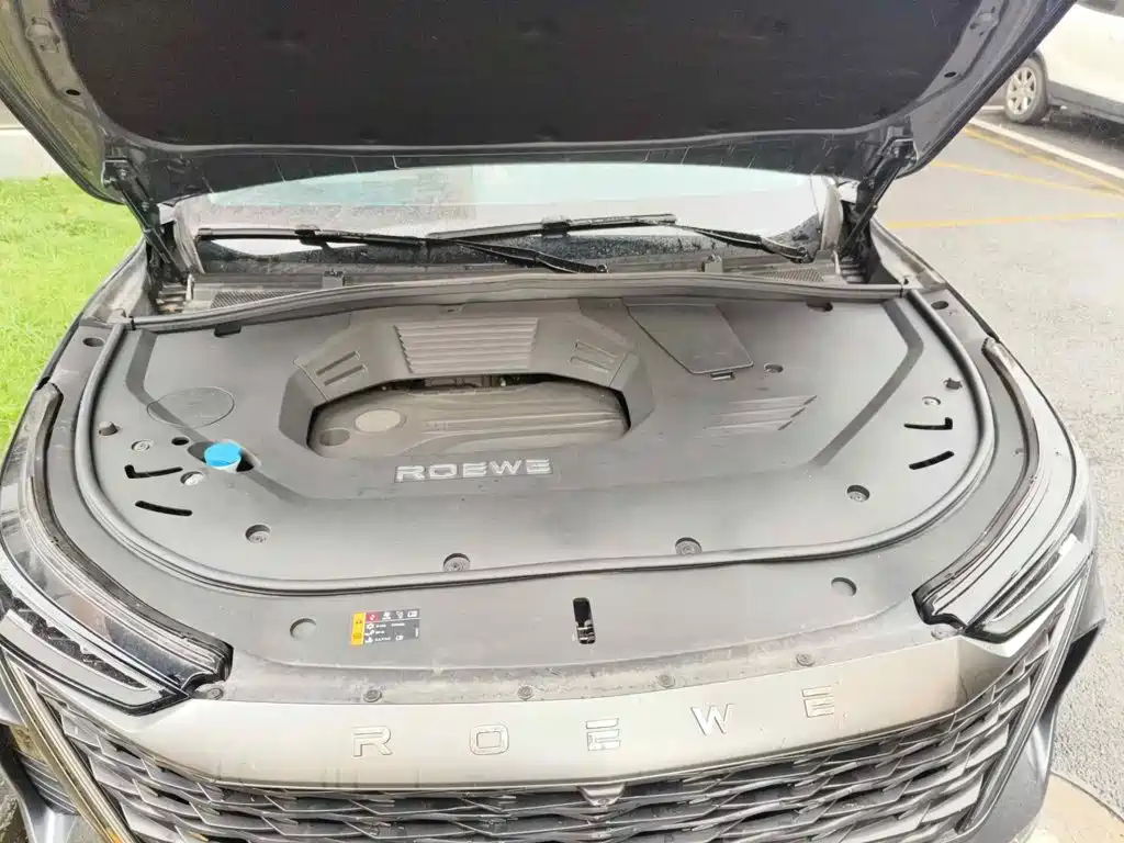 Roewe RX9 2023 2023 2.0T 2WD Yuexiang Edition