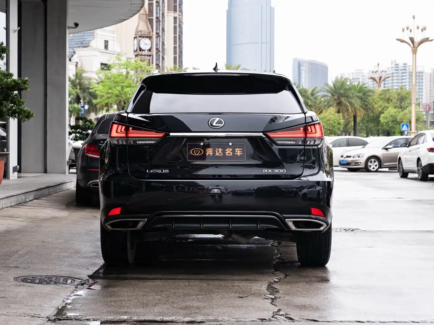 LEXUS RX