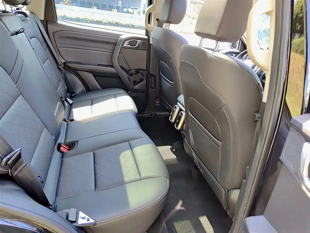 Haval Big Dog 2024 2.0T DCT Chinese Rural Dog Edition фото 11