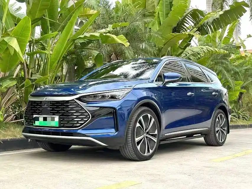 BYD Tang New Energy 2022 DM-p 215KM AWD Flagship