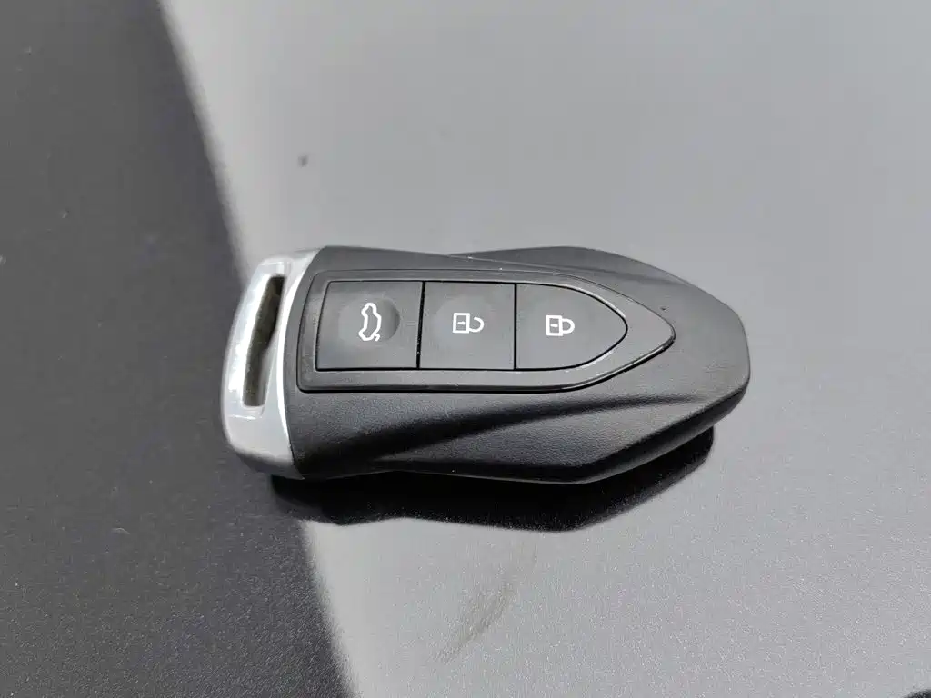 Leopaard Mattu 2019 2018 1.6T GDI DCT Comfort