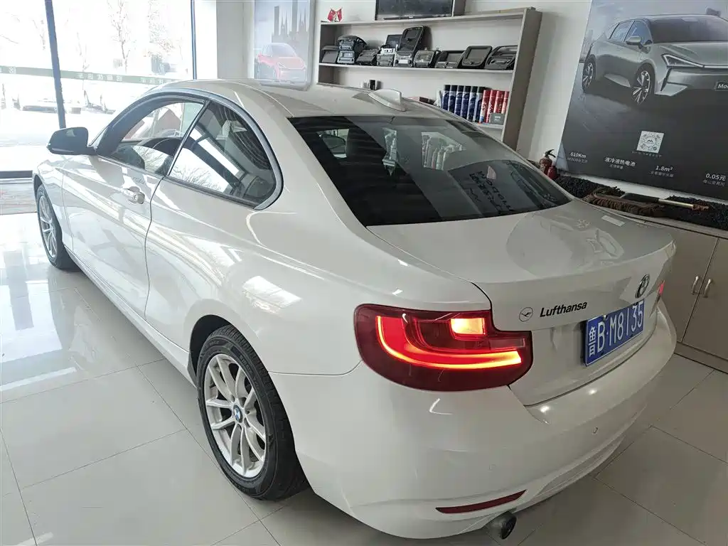 BMW 2 Series (Import) 2015 218i фото 5