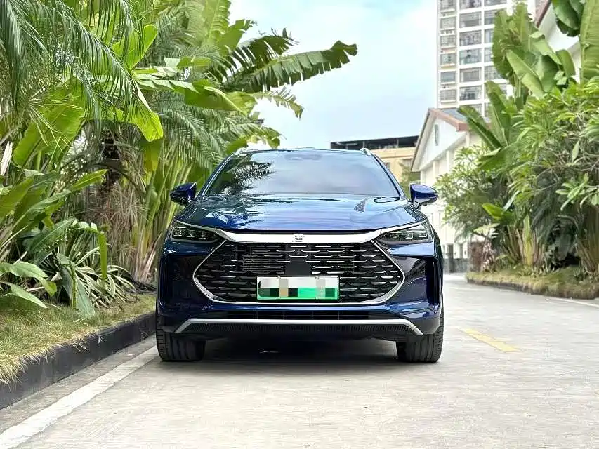 BYD Tang New Energy 2022 DM-p 215KM AWD Flagship фото 2