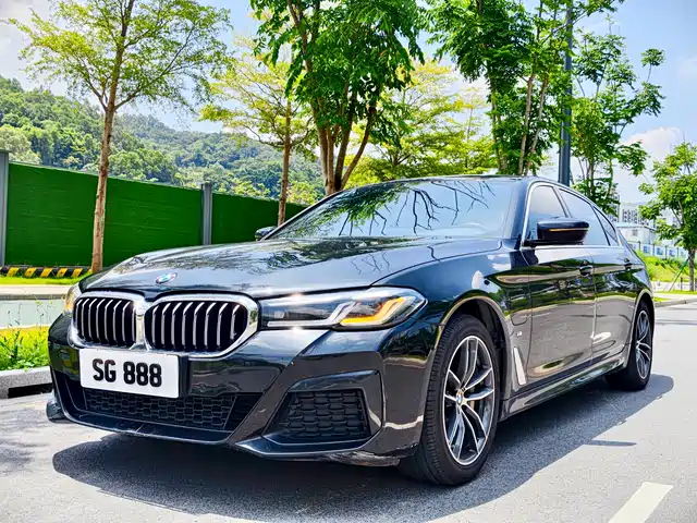 BMW 5 Series New Energy 2021