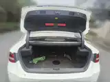 Фото 5 - Geely Borui