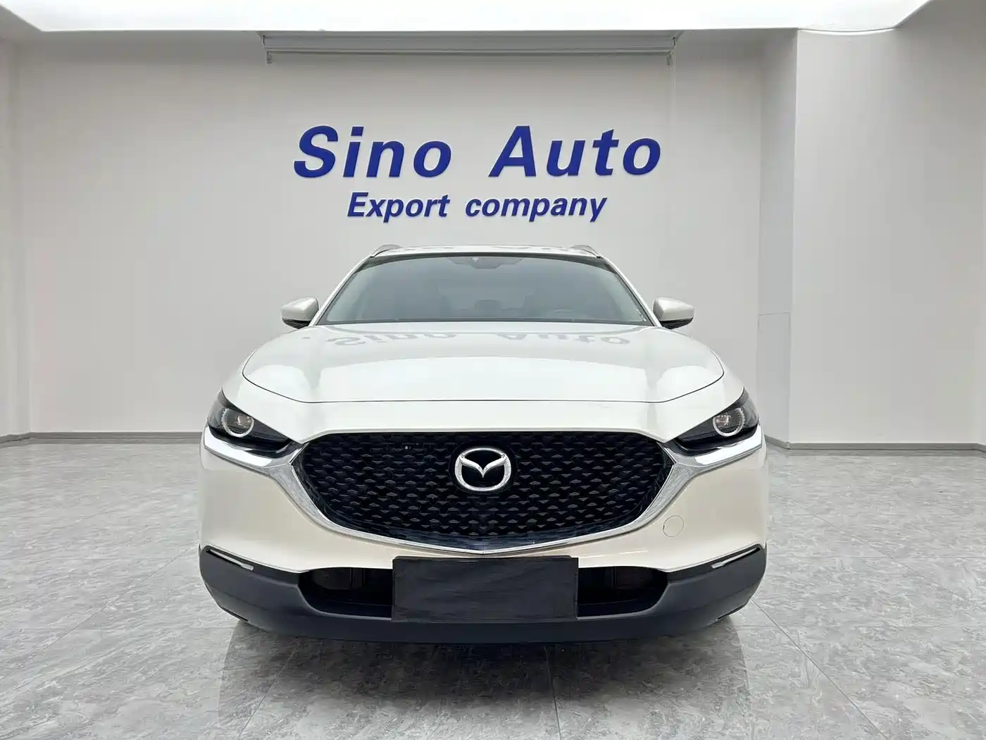 Mazda CX-30 2022 2021 2.0L Auto Quality Delight Type