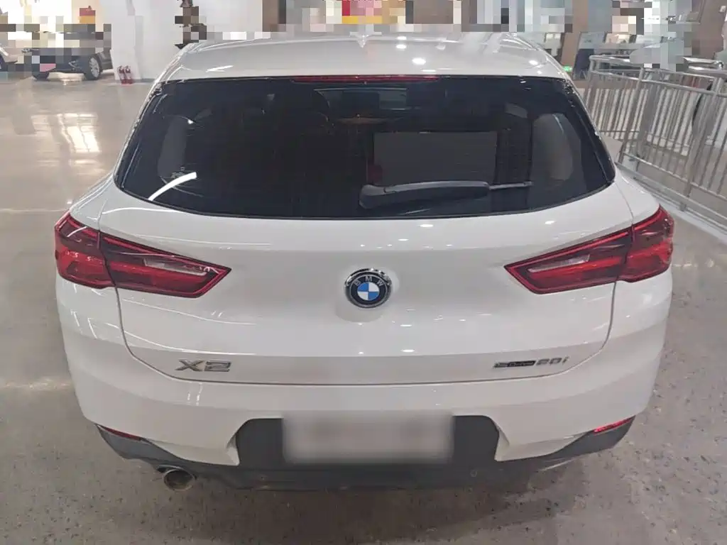 BMW X2 (Import) 2019 2019 sDrive20i M Off-Road Package China VI