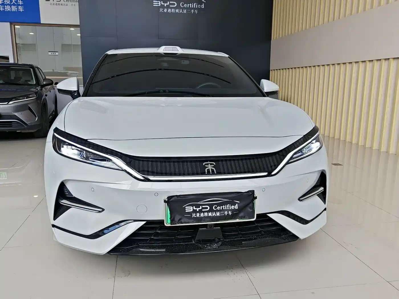 2025 BYD Song L EV