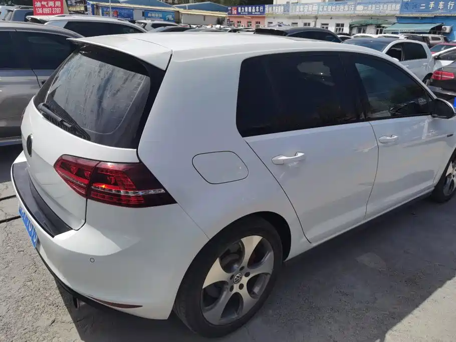Volkswagen Golf GTI 2016 2016 2.0TSI GTI