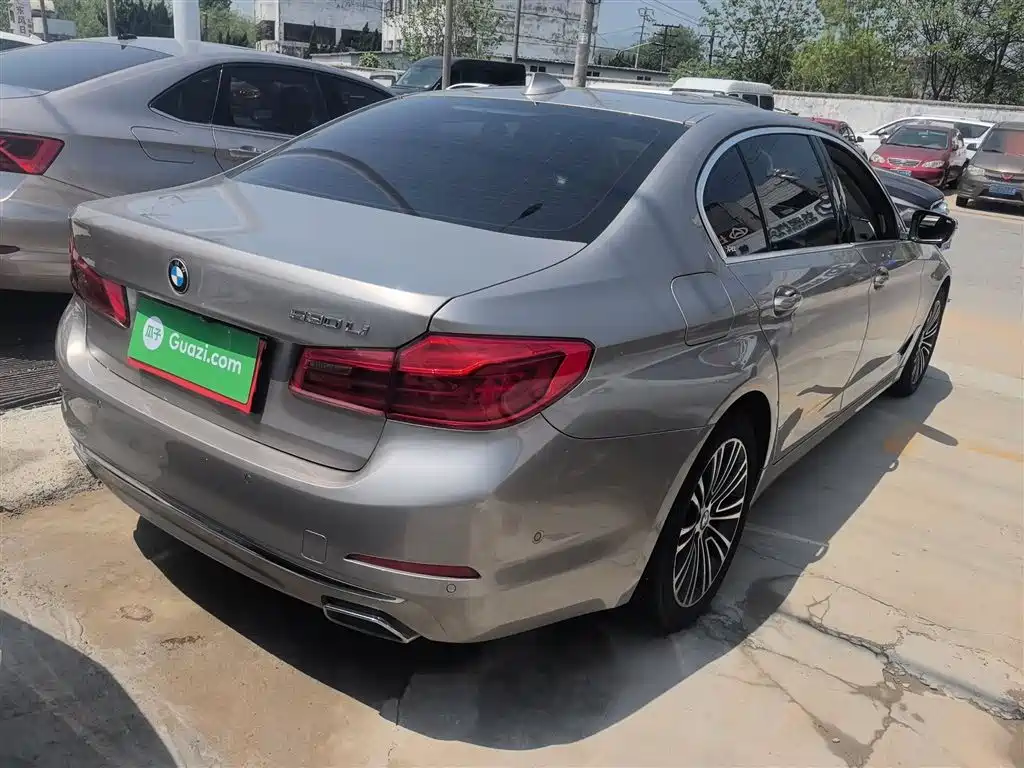 BMW 5 Series 2019 530Li Premium Luxury Package фото 5