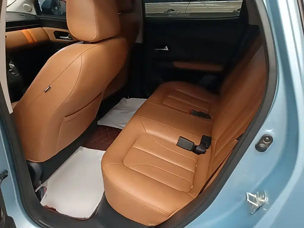 Ora iQ 2021 2019 Intelligent Premium