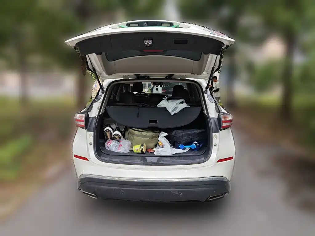 Nissan Murano 2018 2017 2.5L XL 2WD Smart Premium Edition