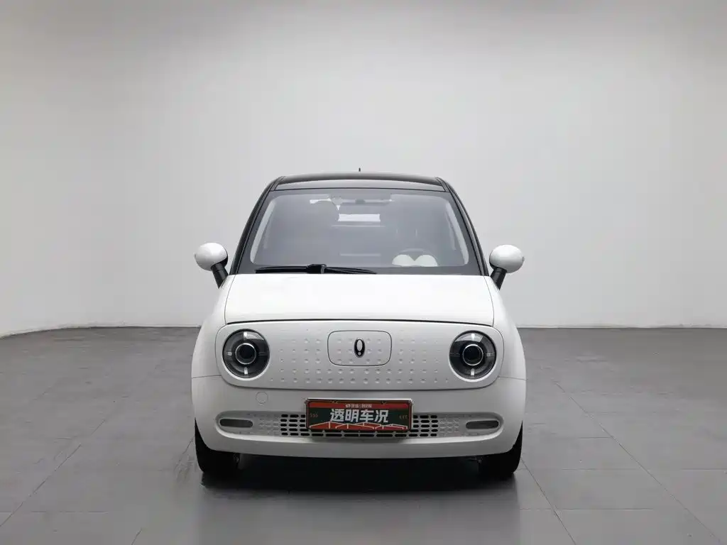 Ora Black Cat 2020 2021 351km Standard Model