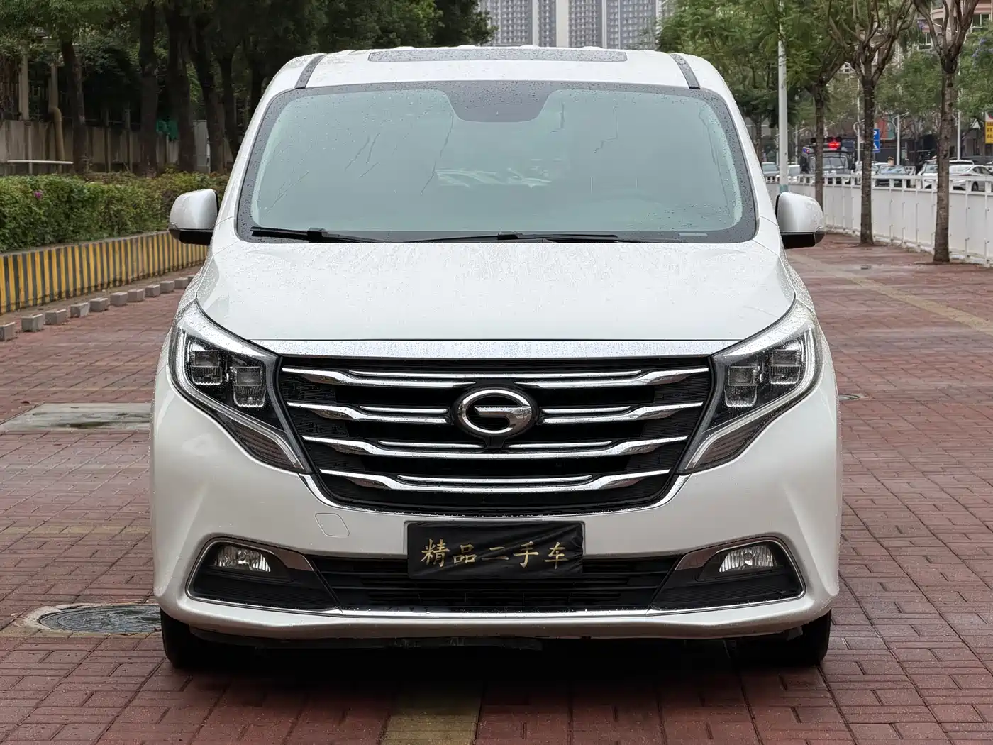 GAC Trumpchi Trumpchi M8 2018 320T Premium Edition фото 2