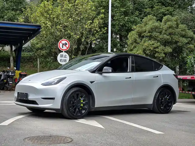 Tesla Model Y 2021 Standard Range Rear-Wheel Drive — фото 1