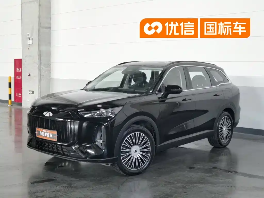 Chery Fengyun Fengyun T9 2024 2024 120 Long Range Luxury 5-seater LFP