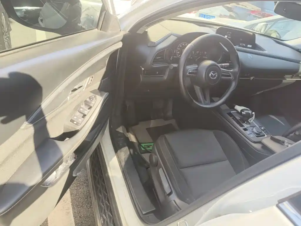 Mazda CX-30 EV 2023 2021 Pure Electric Enjoyment Edition